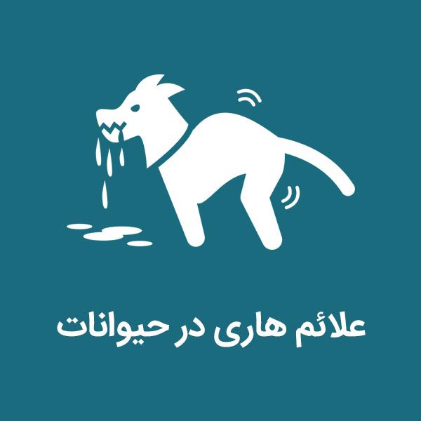 علائم هاری در سگ(0 تا 100 نشانه های بیماری تا درمان) 1 01113 1