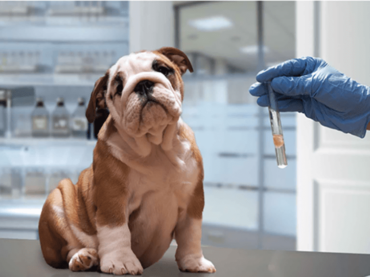 آزمایش بیوشیمی