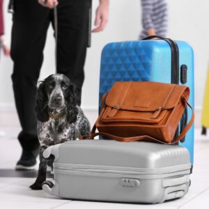 فرم انکس برای حمل حیوانات خانگی چیست؟ 4 فرم انکس چیست