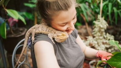 بهترین حیوانات خانگی کدامند؟ 3 حیوانات خانگی