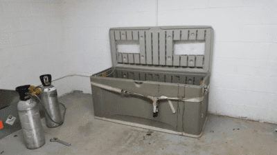 یوتانازی حیوانات خانگی چیست و چرا انجام میشود؟ 4 یوتانایز چیست