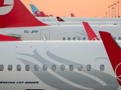 حمل حیوانات خانگی