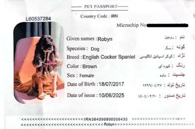 راهنمای جامع دریافت پاسپورت پت؛ سفر بیدغدغه با حیوانات خانگی طبق استانداردهای بینالمللی 2 پاسپورت پت