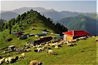 جاهای دیدنی رشت؛ راهنمای کامل طبیعتگردی، سفر و کمپینگ در اطراف رشت 9 اولسبلنگاه