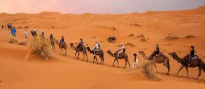 شترسواری در کویر سیازگه