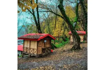 جاهای دیدنی رشت؛ راهنمای کامل طبیعتگردی، سفر و کمپینگ در اطراف رشت 7 پارک جنگلی درنیکا