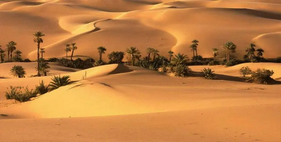 کویر ابوزید آباد با ماشین شخصی