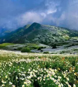 جاهای دیدنی اردبیل در تابستان؛ راهنمای جامع جاهای دیدنی اردبیل 3 Fandaghlo forest 6