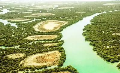 جنگل حرا قشم؛ راهنمای کامل بازدید، مسیر، فاصله، تور و دیدنیها 2 Mangrove forests of Qeshm 13961110 07
