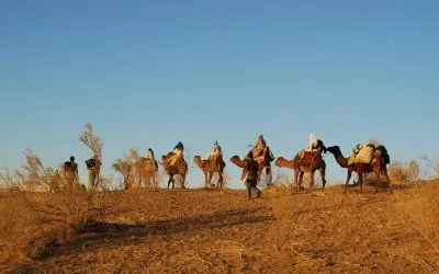 کویر مصر اصفهان؛ راهنمای کامل سفر، اقامت، مسیر و تفریحات 4 camel riding
