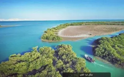 جنگل حرا قشم؛ راهنمای کامل بازدید، مسیر، فاصله، تور و دیدنیها 3 images 20