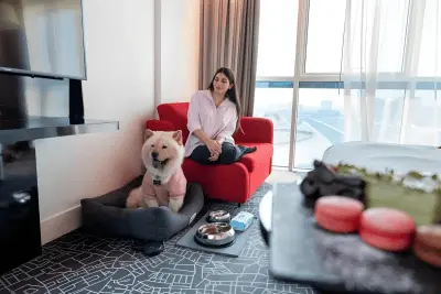 راهنمای جامع سفر با حیوان خانگی به استانبول و دبی؛ مدارک، پرواز و هتلهای Pet-Friendly 3 بهترین هتلهای دبی با اجازه ورود حیوان خانگی