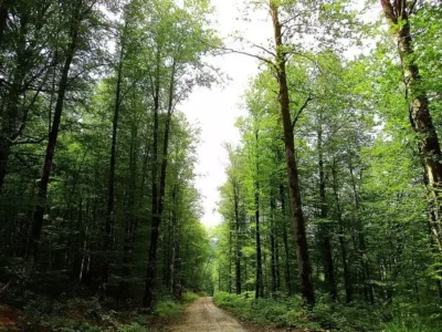 تورهای ماجراجویانه و کشف زیباییهای ناشناخته در ایران 4 تورهای ماجراجویانه