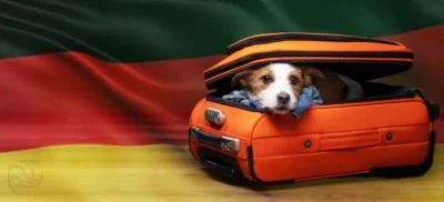 سفر با حیوانات خانگی