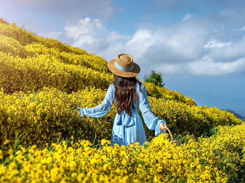 بهترین مقصدها برای سفر داخلی در بهار