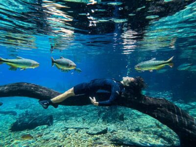 شهر بونیتو (Bonito)