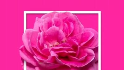 9 رنگ ثبت شده جهانی ایران؛ سفری به دنیای رنگ های اصیل ایرانی 6 2365117 796