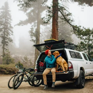 RoadtripwithPets 2020 GettyImages 692737057