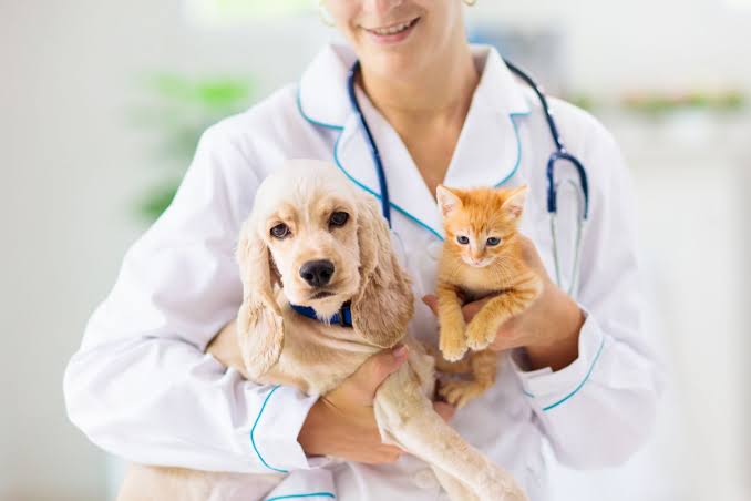گواهی تیتر هاری