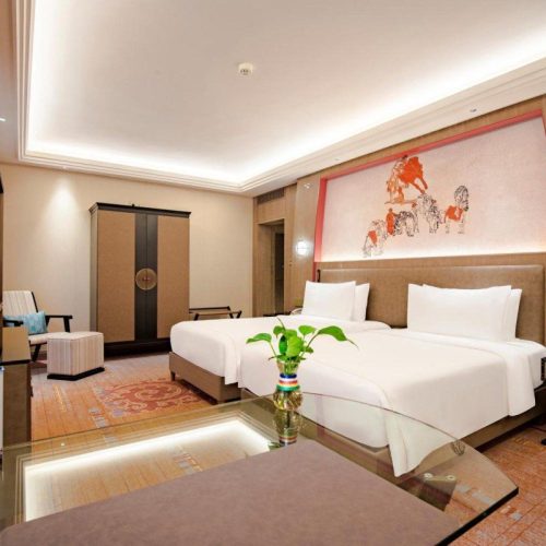 20241124_134037_879196565