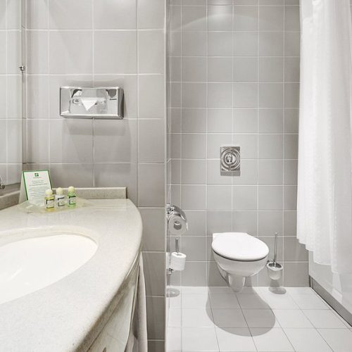 bathroom-in-a-standard