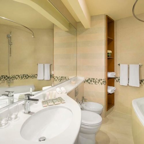 toilet-and-bath1